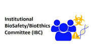 IBSC